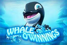 Whale O Winnings Slot Review